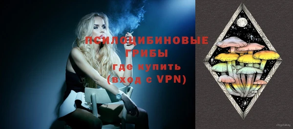 тгк Аркадак