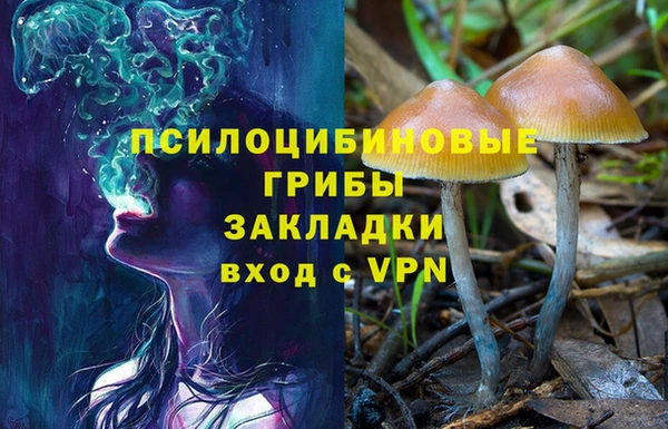 соль ск Арсеньев