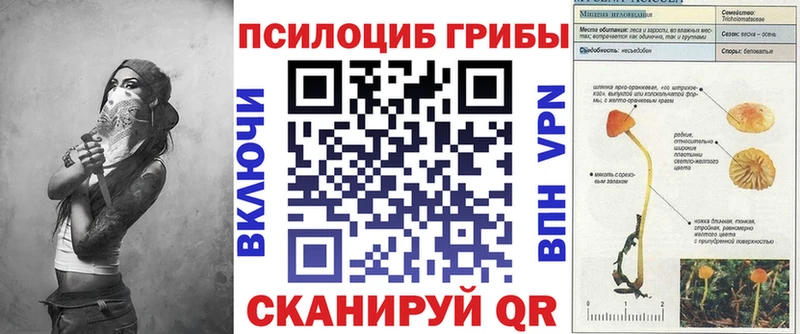 Псилоцибиновые грибы Cubensis  Ульяновск 